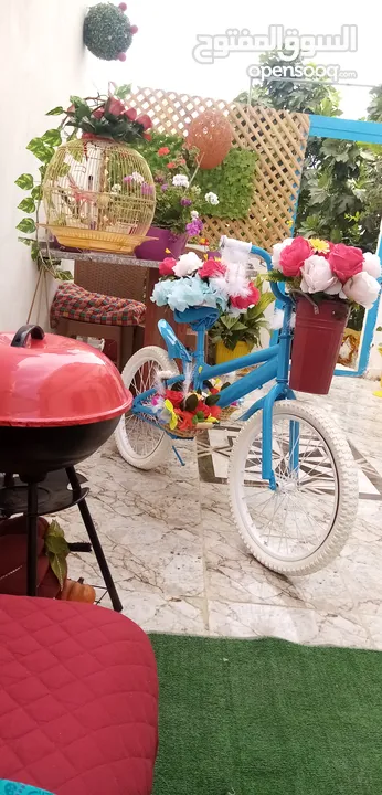 بسكليت مزين بورود اصطناعي