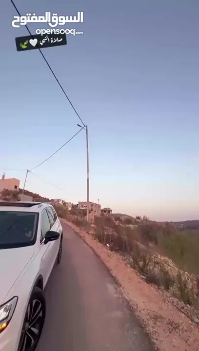 تيجوان لون ابيض
