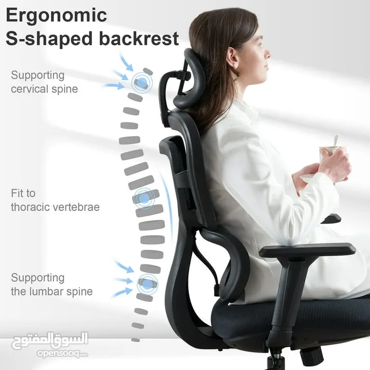 كرسي مكتب Lioncin Ergonomic،، كرسي كمبيوتر يدعم أسفل الظهر مع عجلات ومسند ذراع قابل للتعديل