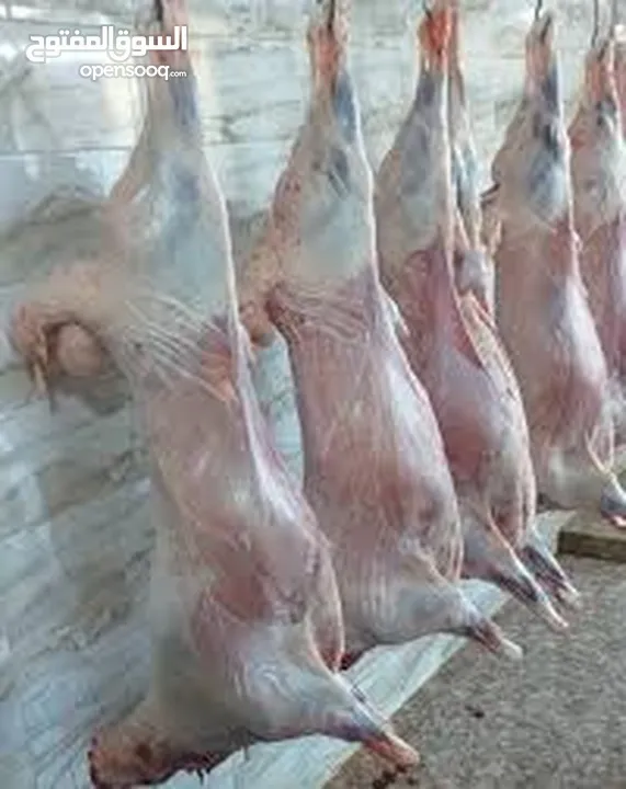 خدمة ذبح بعمان كافة ايام العيد