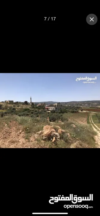 ارض للبيع في منطقه السليحي
