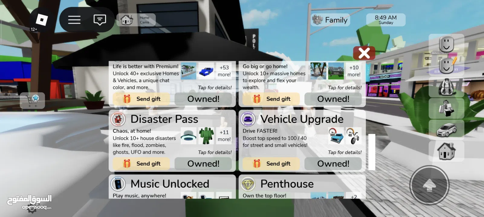 حساب روبلوكس ماب البيوو سكنات و بلوكس فروت للمعرقين فيها و مزبد و مايك و شات  على 600 شيكل