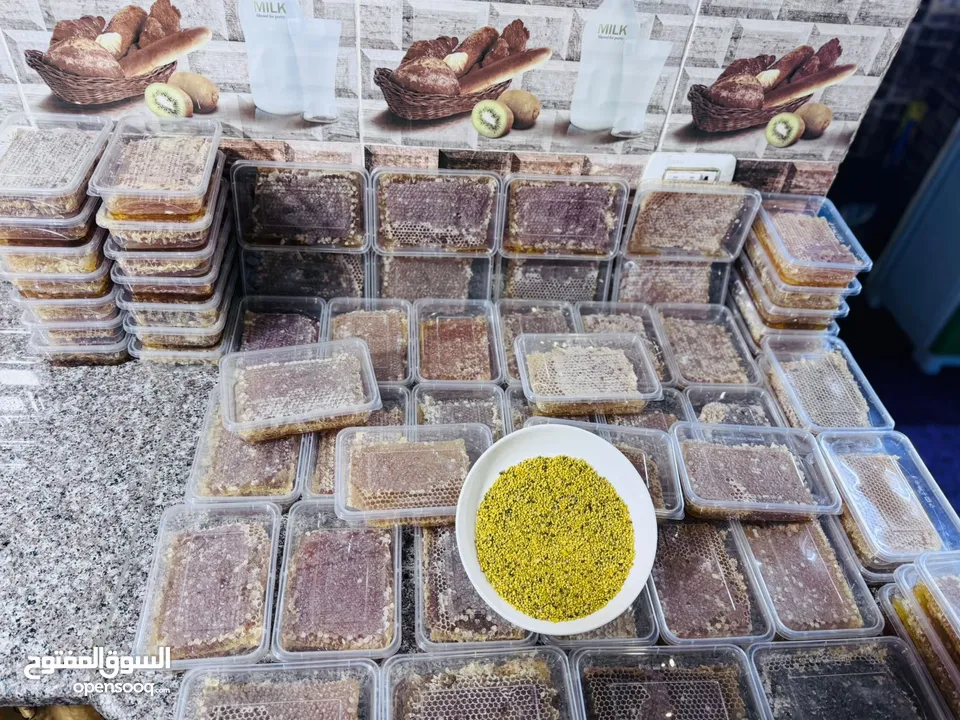 مطلوب طيور بدل على عسل