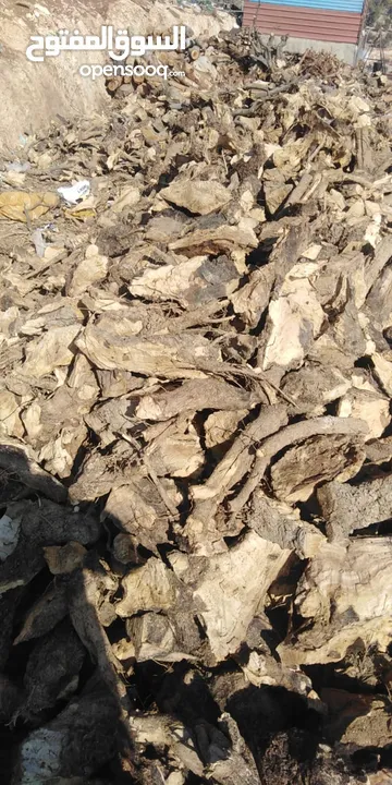 حطب زيتون زند وقرمي ناشف لوزيات حرجي