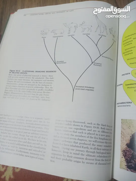 كتاب بعنوان biology