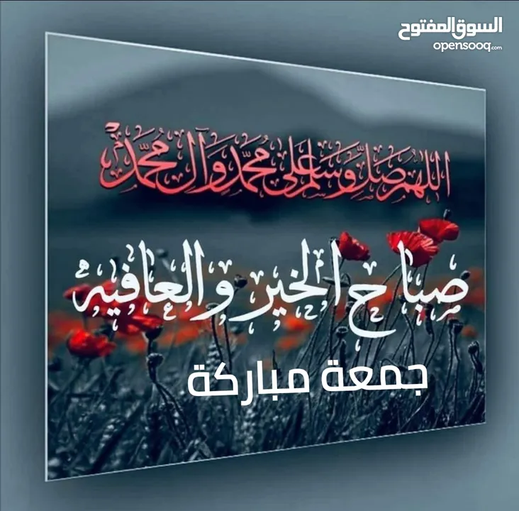 سخلة رضيع عشر دنانير