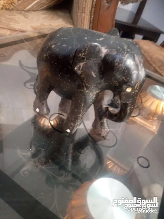 مناظر حيوانات للبيع بسعر مغري
