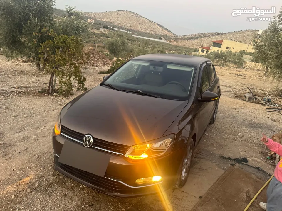 بولو جير عادي الحبة النادرة باللون و الجمال و الفحص