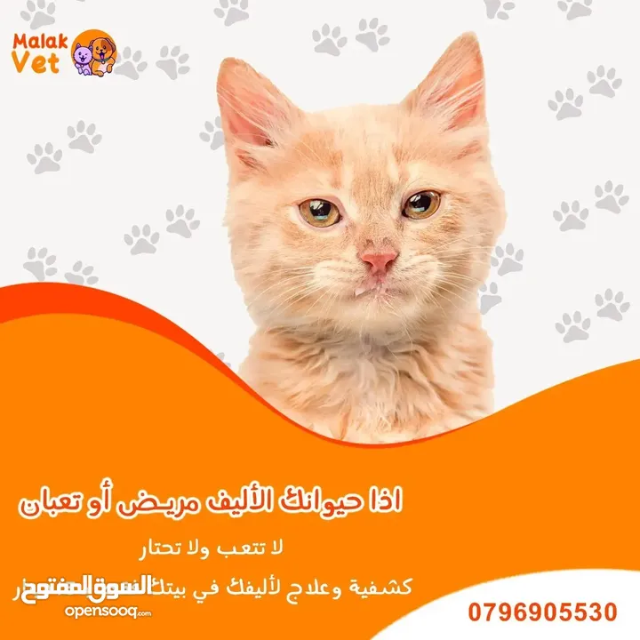خدمات بيطرية متكاملة للحيوانات الاليفة