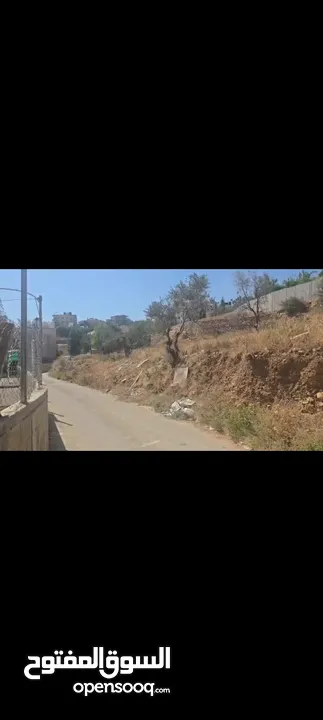 ارض عاليه ومطله ومرتفعه صالحه للبناء  واصل كل الخدامات  للبيع في منطقه جفنا 650متر