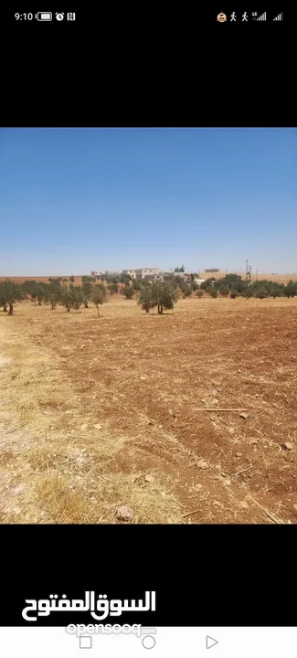 للبيع قطعه ارض رحاب البويضة  طريق اربد الزرقاء تبعد عن شارع الرئيسي كيلو  قطعه مميزه منطقة مزارع و ش