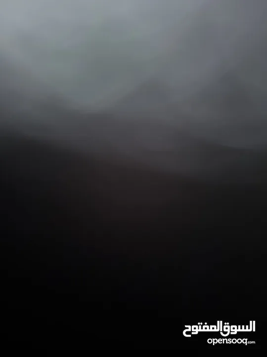 انثى نوعها ببيكنز