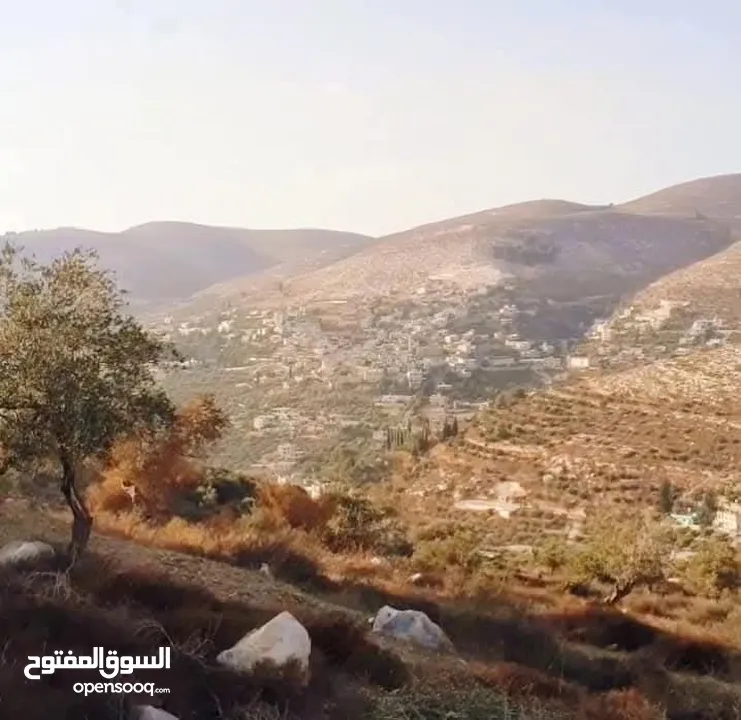 شو بتستنا بدك ارض بسعر مغري وكوشان طابو مستقل في اجمل اراضي نصف جبيل متوفر كافة الخدمات منطقة هادئة