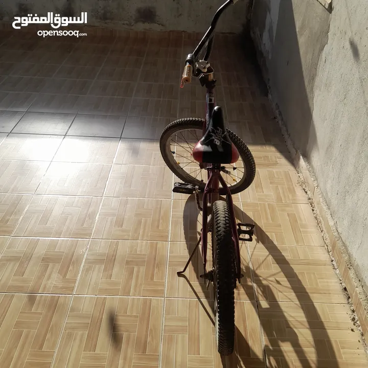 بسكليت نمرة 20 للبيع