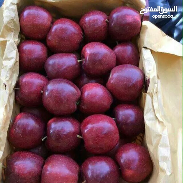 Sending first class fruit from Iran