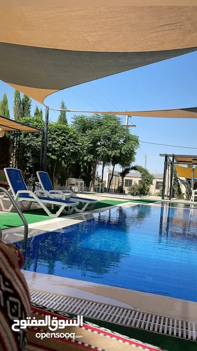 شاليهات giving  اكثر من 20 مزرعه في مكان واحد