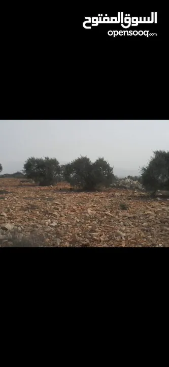 ارض للبيع بسعر مغري في ياصيد