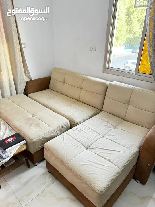 Home center sofa cum bed with storage 3 pc