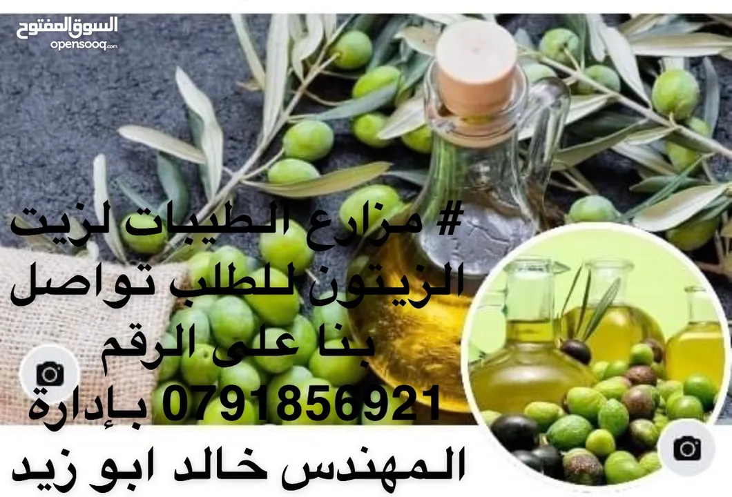 مزارع الطيبات -زيت زيتون