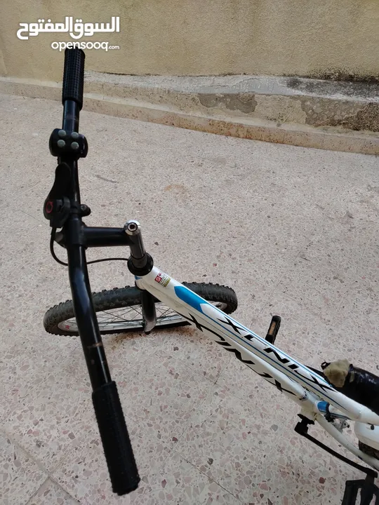 بسكليت نمره 24
