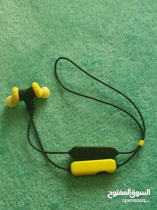 JBL Sports Running Earphones