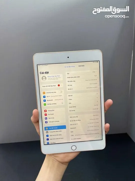 iPad mini 5