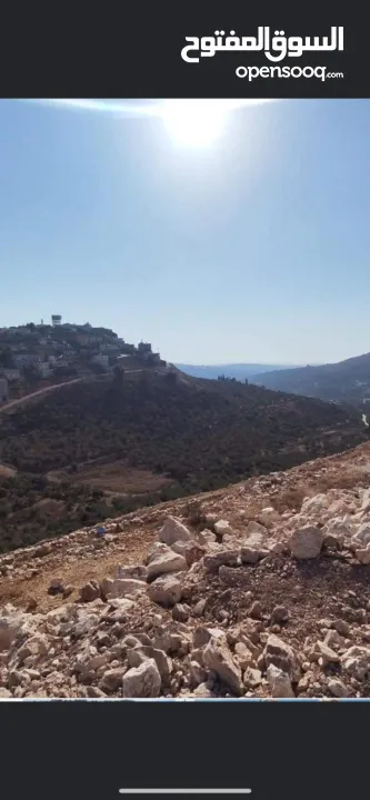ارض للبيع نابلس الجديدة