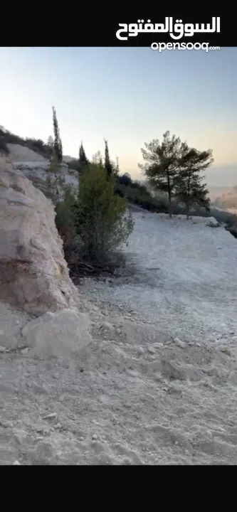 أرض تصنيف ألف مساحه 1200 متر طابو