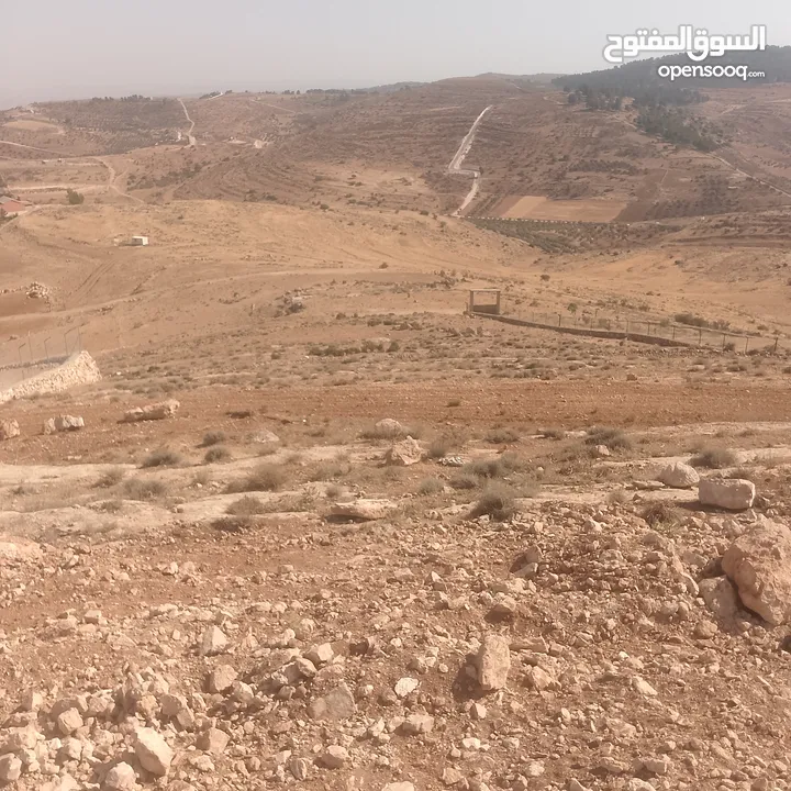قطعة ارض شرق جرش مرويه من بئر ارتوازي مطله ومرتفعه بسعر مغري متوفر أكثر من 50 قطعه في نفس المنطقه