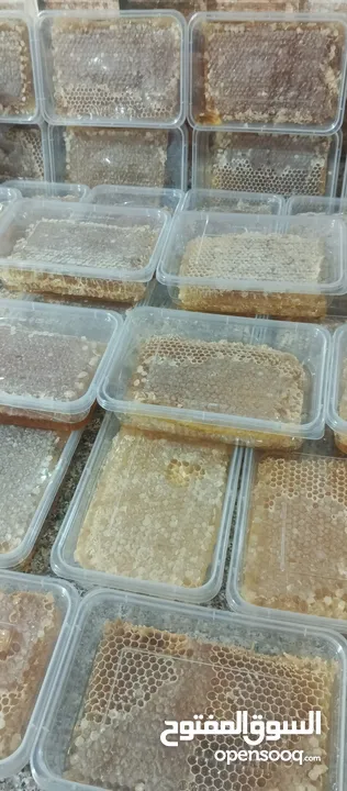 مطلوب طيور بدل على عسل