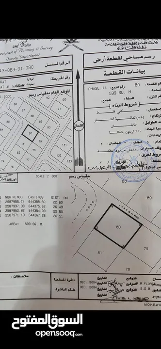 العامرات النهضة 14