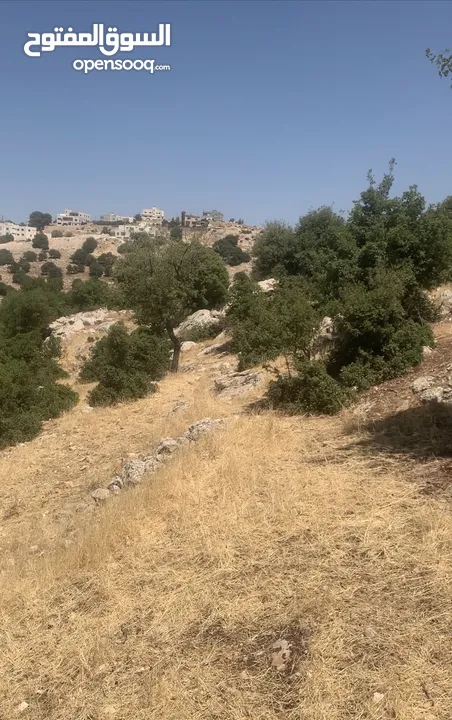 قطعه ارض مميزه الزعتري السلط