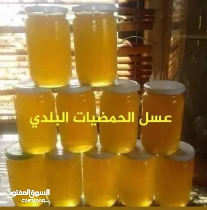 عسل طبيعي 100% سدر حمضي جبلي  ومضمون وشمع بالعسل وغداء الملكات