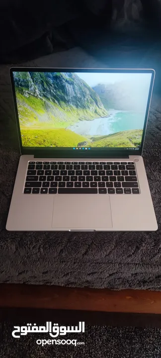 Xiaomi Mi Notebook Pro X 14 (2021) Laptop
