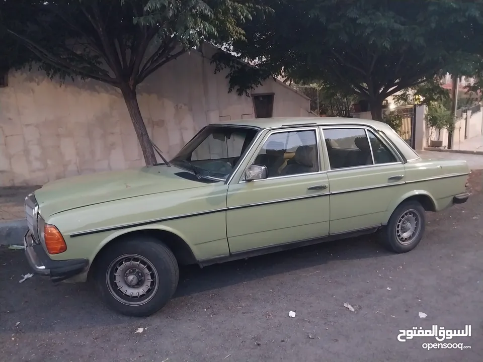 سيارة مرسيدس لف موديل 1978 لون زيتي للبيع   عمان ، طبربور ، حي الشهيد الجنوبي