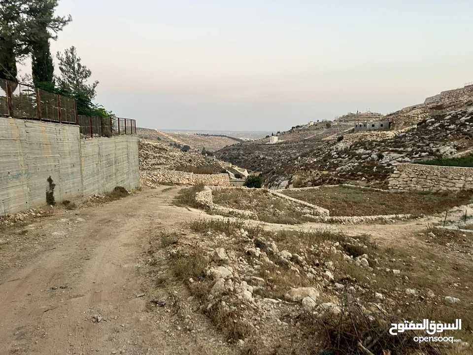 ارض في دورا منطقة الصرة تصنيف A طابو