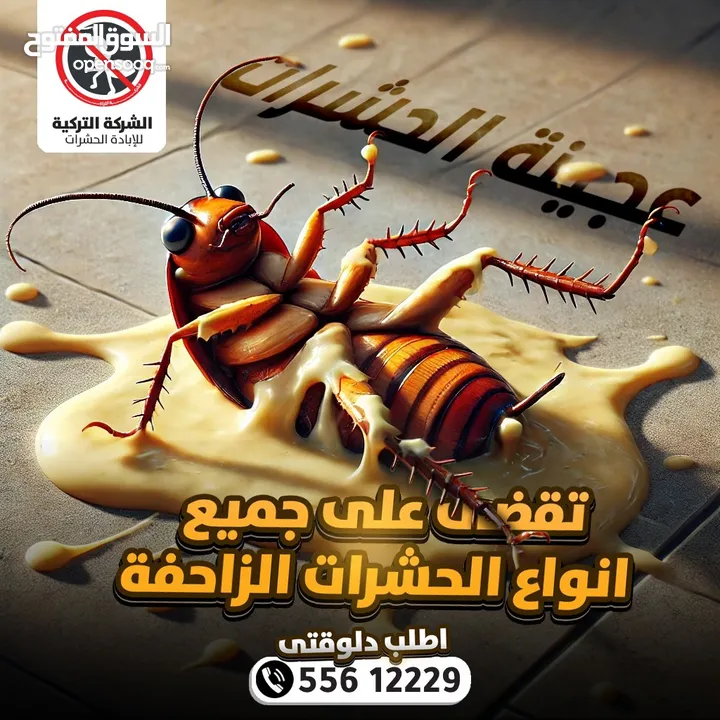 مكافحة الحشرات والقوارض والصراصير وبق الفراش والفئران والبريعصى والنمل