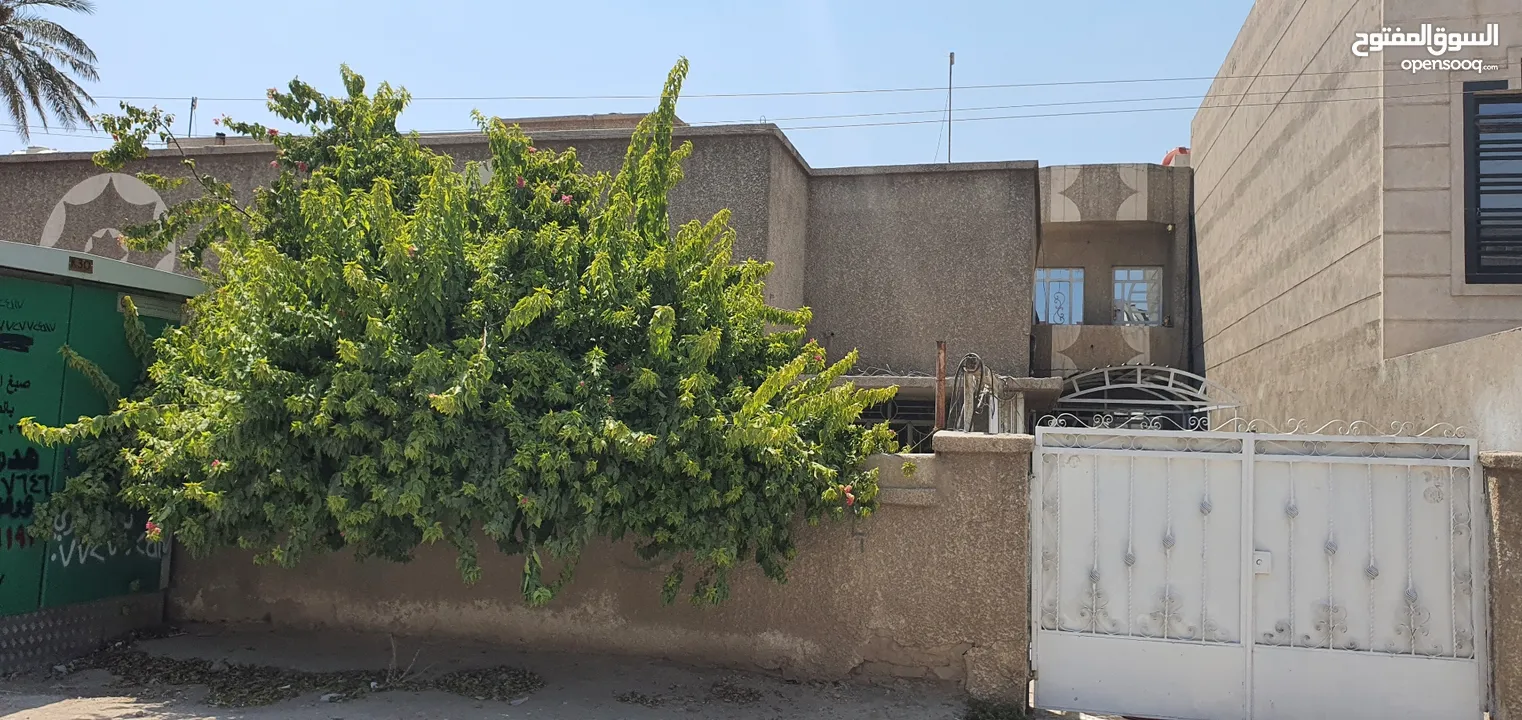 بيت قديم  تفليش في اليرموك الداخليه يباع نصفه كقطعه ارض المساحه الكليه 630م