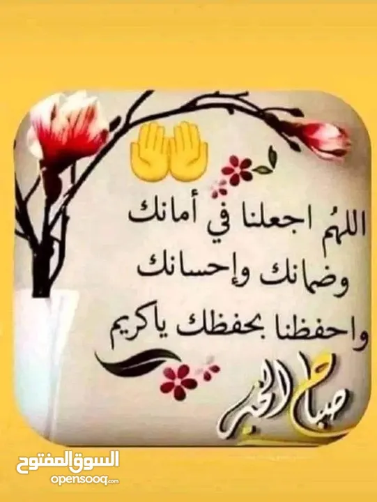 جوزين حب نخب