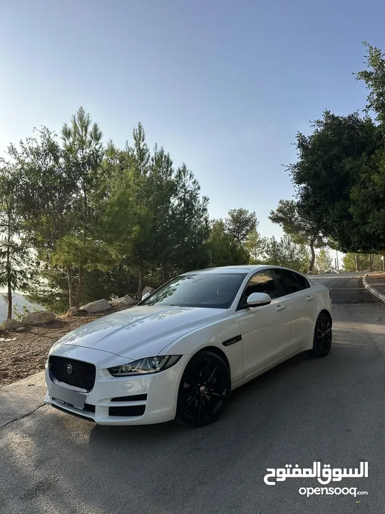 جاغوار xe 2019