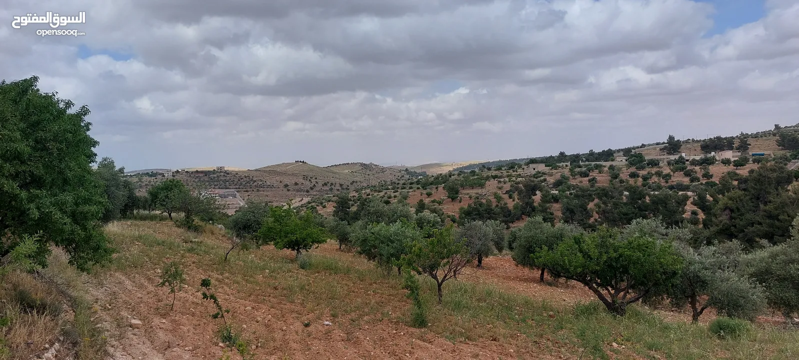 أرض جميله جدا في جرش ثغره عصفور وإطلاله جميله جدا 3.400م