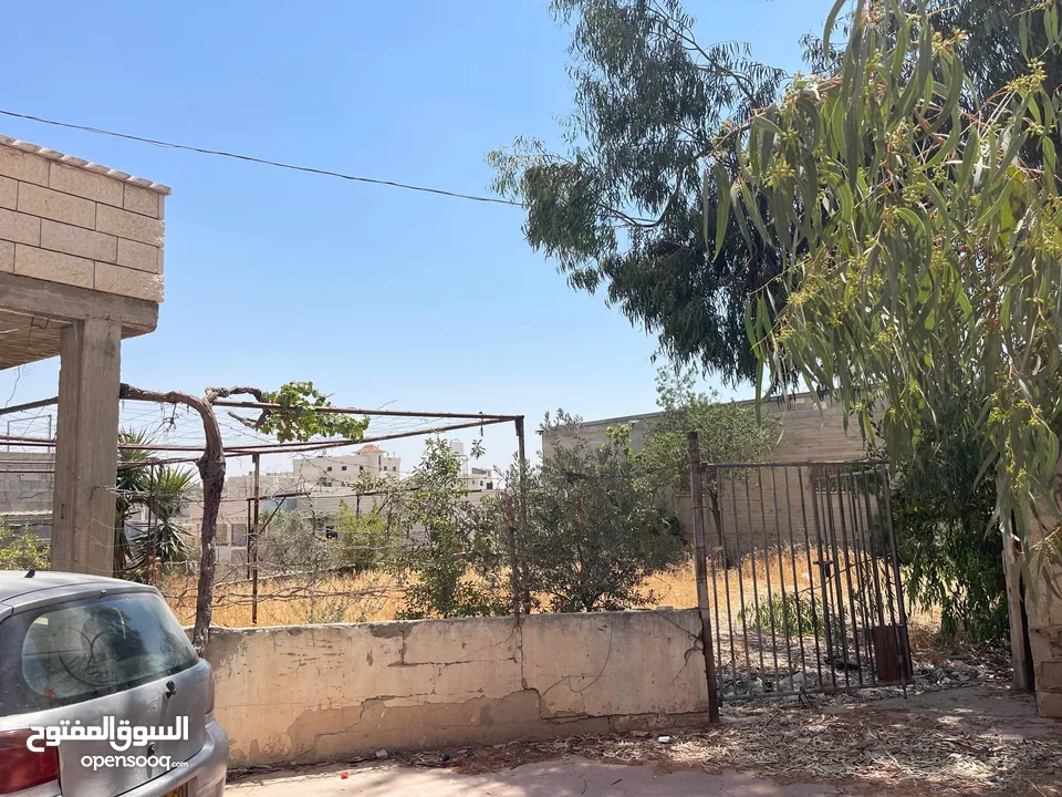 منزل مستقل للبيع في مدينة يطا يصلح تحويله الى مركز طوارئ او كلية او غيرها