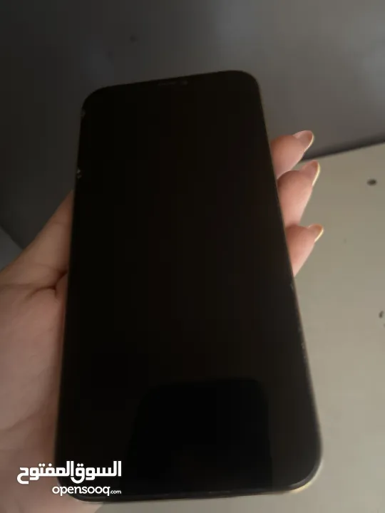 ايفون 12 برو ماكس