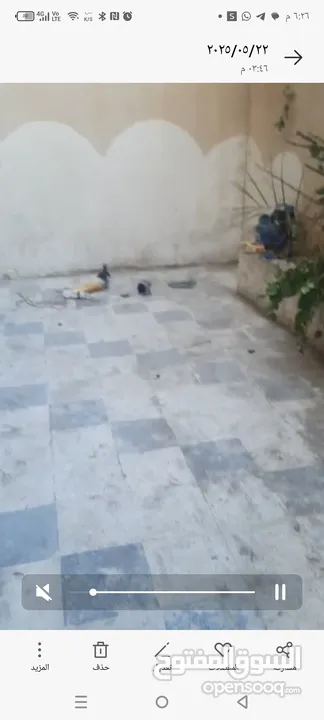 شقة أرضيه مع تسويه ببلاش بالأقصى قرب مستشفى حمزة
