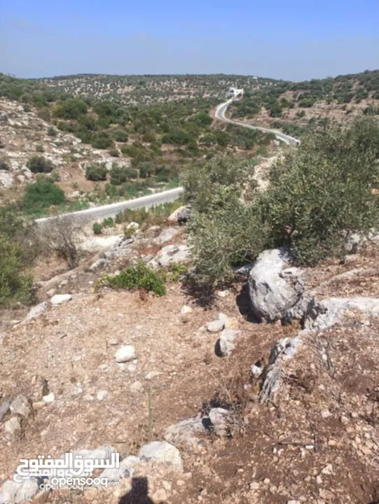 القبة الذهبية  شارع بلعا-دير الغصون