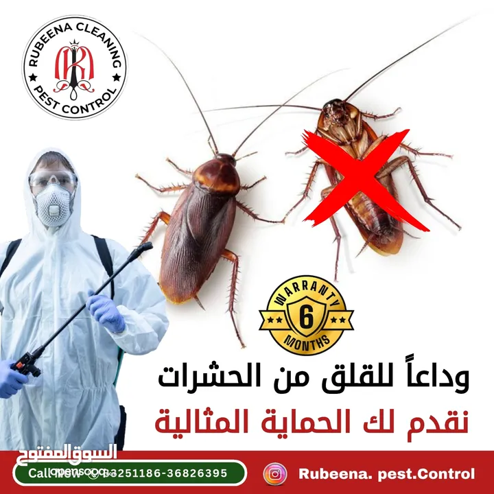 Pest Control Services contact only WhatsApp خدمات مكافحة الآفات