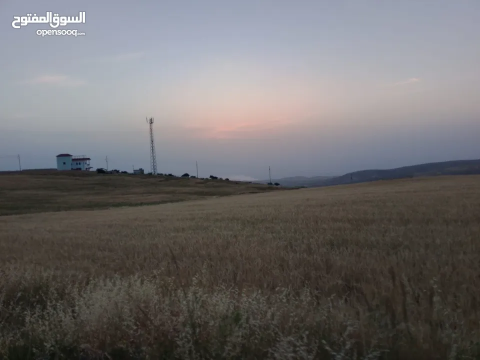 مادبا ماعين المشرفة قطعة ارض زراعية مميزة واصل الخدمات ذات اطلالة على البحر الميت واصل الخدمات