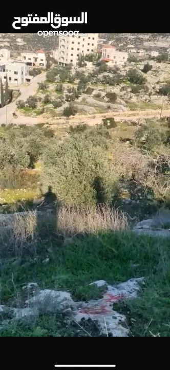 بيع ارض سكنية