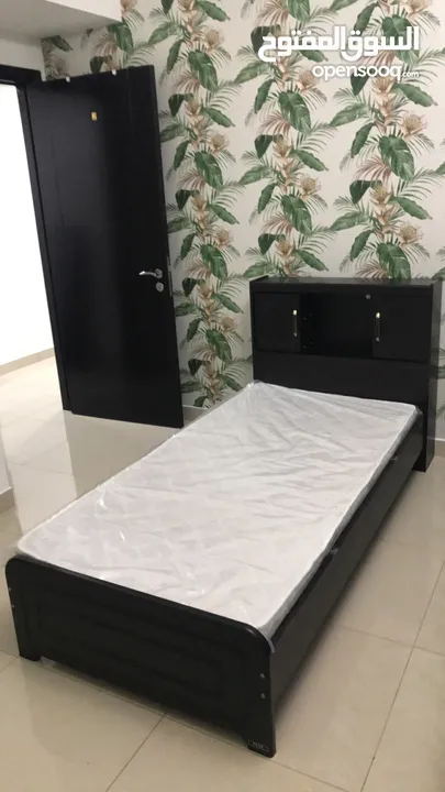 سكن بنات في واحة السيلكون DSO  bed space and master bedroom for ladies in Dubai