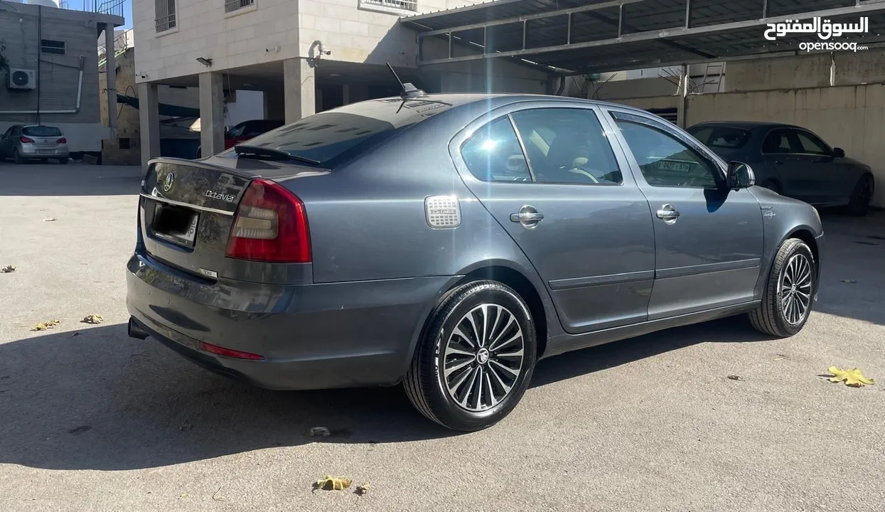 سكودا اوكتافيا رمش